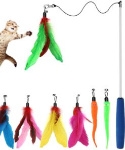 Cat Toys